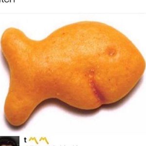 Meet your Posher, Kaylee